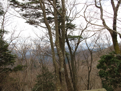 20170113hike (283)